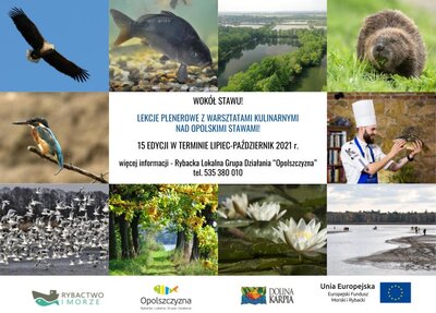 Lekcje edukacyjne Wokół stawu