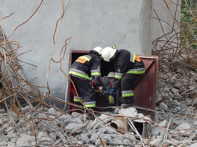 11064887_1175755325784452_1210166571863878192_n