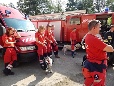 11209674_1175754542451197_1097593193082806138_n