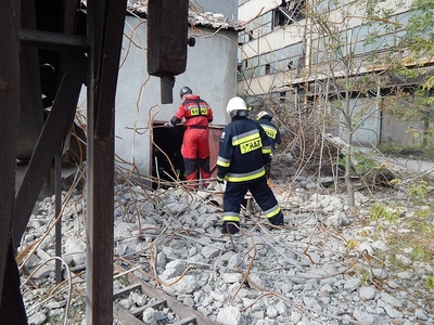 11217665_1175755105784474_7244831738896718662_n