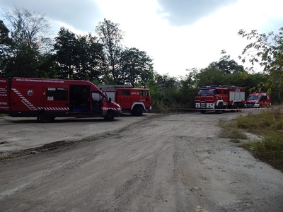 11224120_1175755435784441_3433699463296173966_n