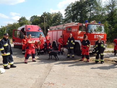 11987008_1175754559117862_3331087920525131508_n