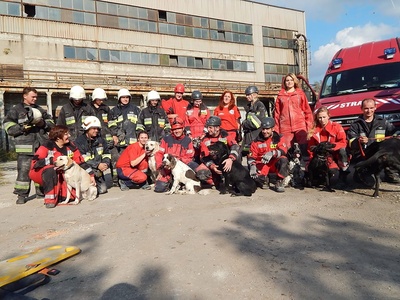 11990376_1175756062451045_8961605358347542562_n