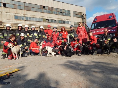 11998960_1175756072451044_5652021126670890256_n