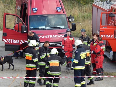 12002962_1175755625784422_2642591453625925951_n