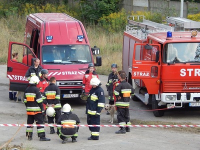 12009730_1175755569117761_7300275437078712916_n