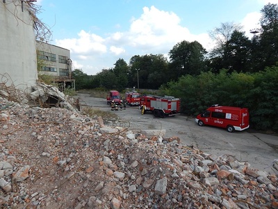 12011164_1175755575784427_812381357812185365_n