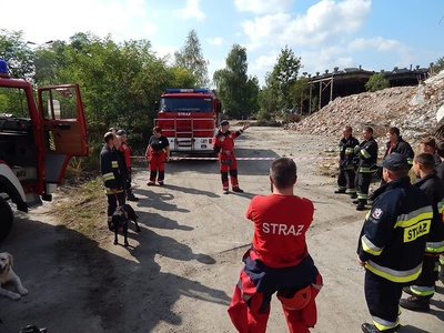 12011243_1175754505784534_6124487188482437196_n