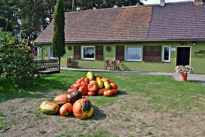 AGROTURYSTYKA - MYSLIWSKA CHATA 2015 (4)