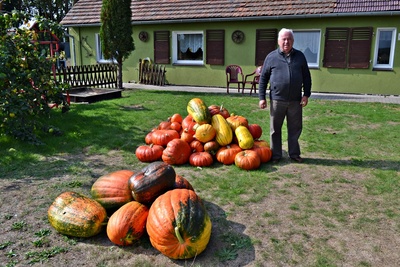 AGROTURYSTYKA - MYSLIWSKA CHATA 2015 (42)