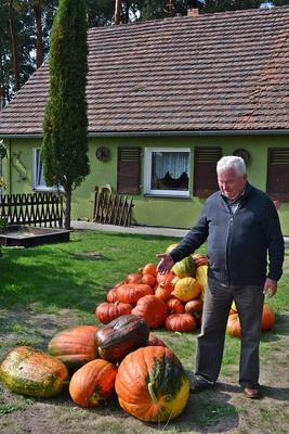 AGROTURYSTYKA - MYSLIWSKA CHATA 2015 (44)