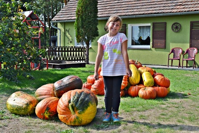 AGROTURYSTYKA - MYSLIWSKA CHATA 2015 (9)