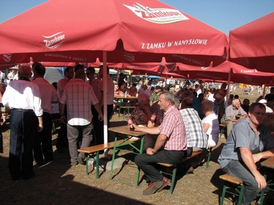 DOZYNKI GMINNE 2015 (22)