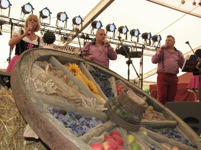 DOZYNKI GMINNE 2015 (24)