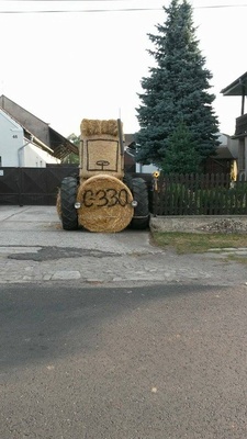 11903557_10205153102008965_1606569025_n