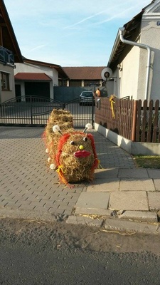 11912892_10205153100888937_110982809_n