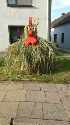 11949776_10205153101368949_99411952_n