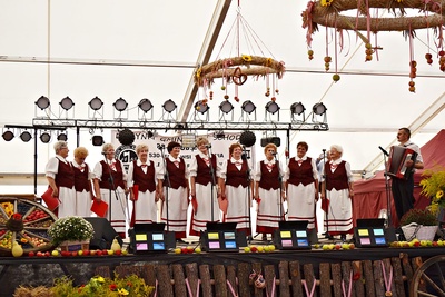 SCHODNIA - FESTYN 2015 DII (245)