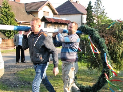 ?Majowe drzewko? w Krzyżowej Dolinie postawiono w tym roku po raz dziesiąty.