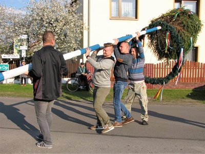 Majowe drzewko w Krzyżowej Dolinie 