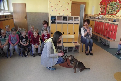 Dzień Przyjaźni ze Zwierzętami w Jedyneczce