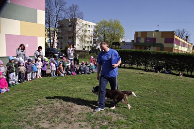 Dzień Przyjaźni ze Zwierzętami