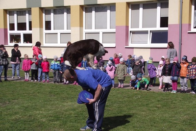 Dzień Przyjaźni ze Zwierzętami