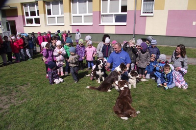 Dzień Przyjaźni ze Zwierzętami