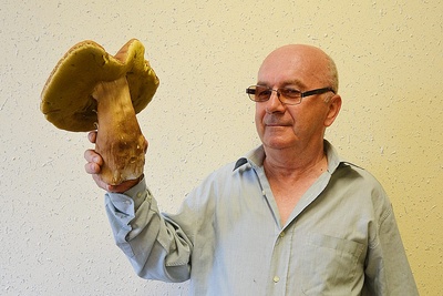 Sezon na grzybobranie rozpoczęty