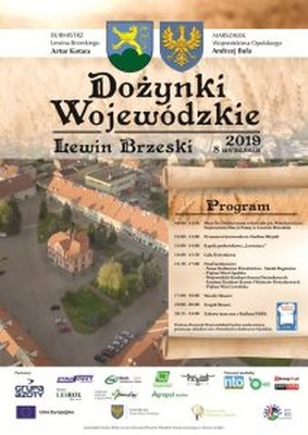 Dożynki wojewódzkie w Lewinie Brzeskim