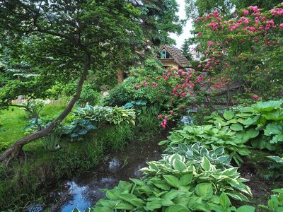 Antoniów - ogród kwietny przy ul. Stawowej