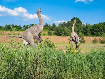 05 - Jura Park Krasiej%%C3%%B3w - terizinozaury