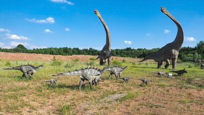 06 - Jura Park Krasiej%%C3%%B3w - brachiozaury i kentrozaury