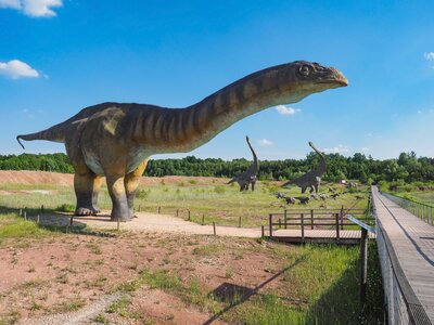 07 - Jura Park Krasiej%%C3%%B3w - amficelias