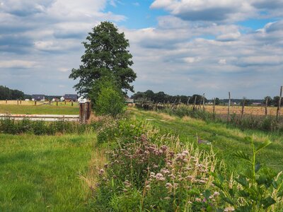 05 - Krzy%%C5%%BCowa Dolina%%2C %%C5%%82%%C4%%85ki