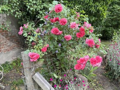 448072319 321339091014735 7513717817962488700 n