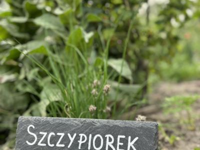 448095755 321338987681412 7176575934060847455 n