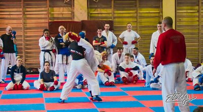 Seminarium szkoleniowe z Antonem Nikulinem